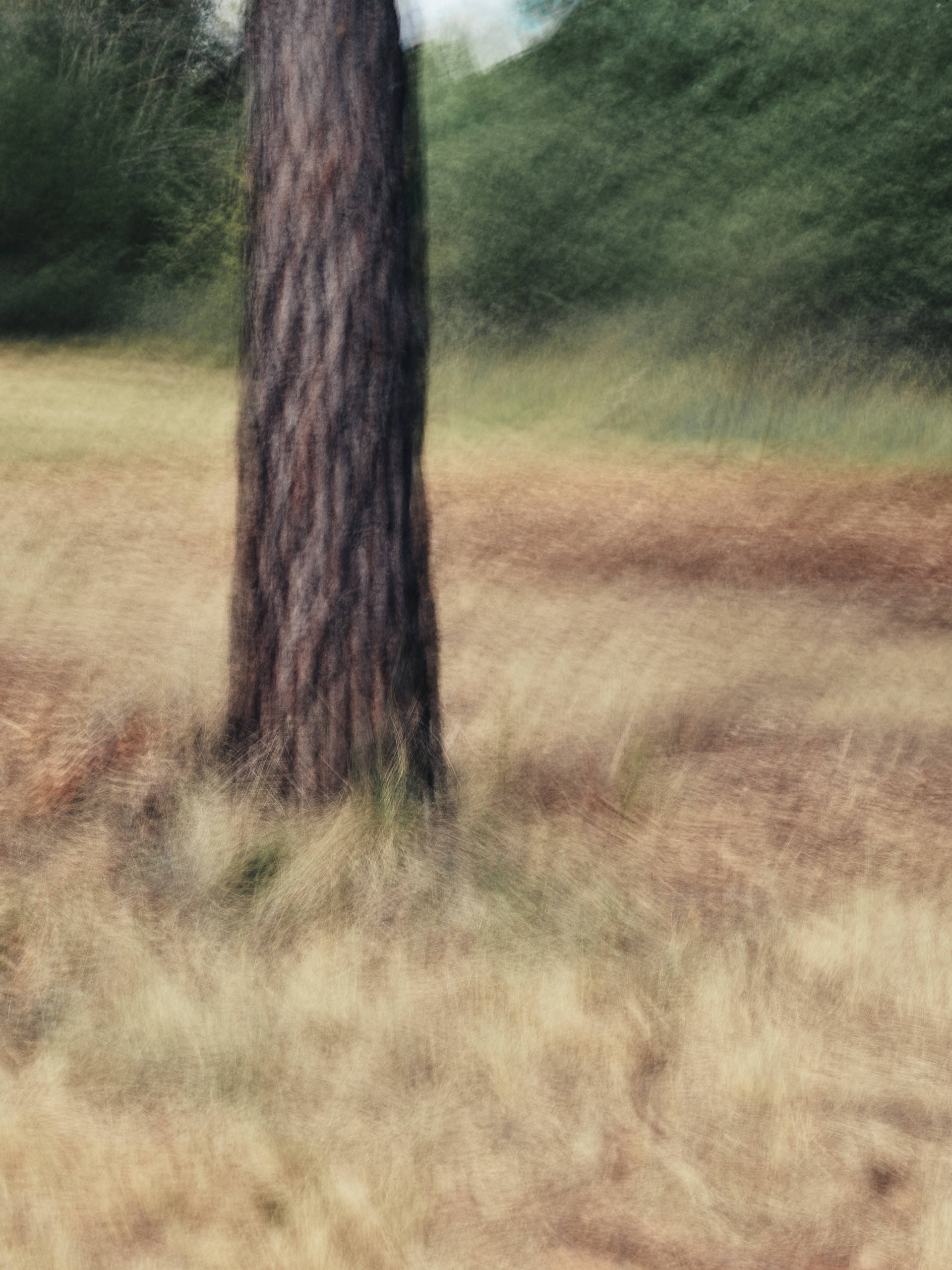 Ahp0078 AIQ4 010579 J2560